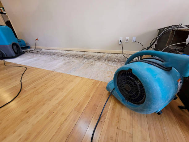 Professional Sewage Cleanup technician working in Weston, NE